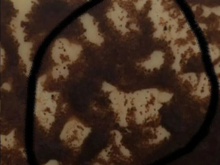 Запись на прием к гадалке в Волжском